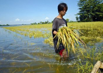 COP25: Global investors urge countries to meet climate action goals