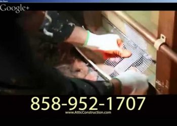 Attic Cleanup San Diego | 858-952-1707 | Insulation Removal