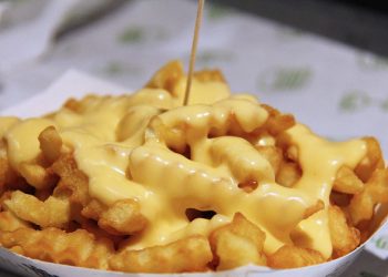 One third of poorer countries face both undernutrition and obesity: WHO report