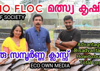 BioFloc fish farming [ECO OWN MEDIA] IMF Society Malayalam class