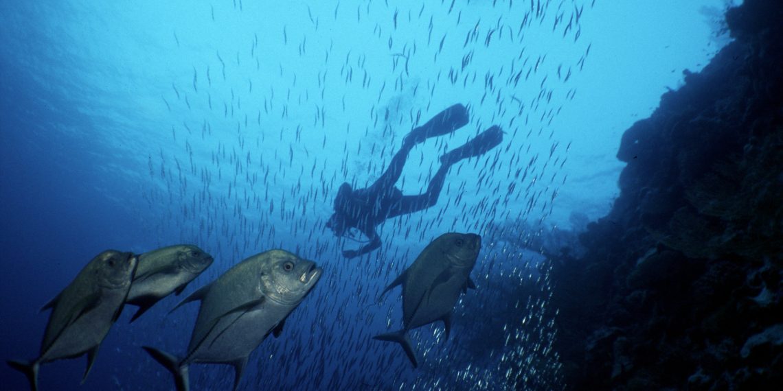 Climate Change Poses an Existential Risk to Ocean Industries. Here’s How They Can Respond.