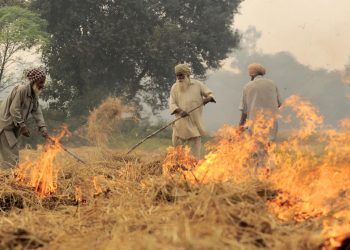 Delhi’s Deadly Smog: Policy Paralysis Around a Preventable Problem