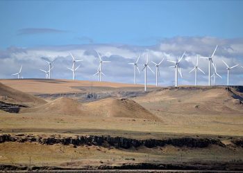 2019 Was a Watershed Year for Clean Energy Commitments from U.S. States and Utilities