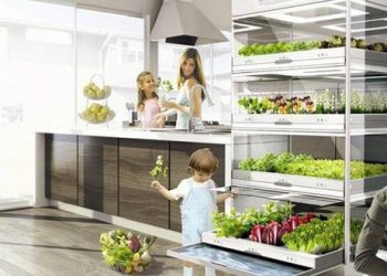 Earth Friendly Tips to Prepare Your Home for 2020