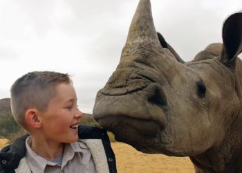 Action for Nature Eco-Hero Hunter