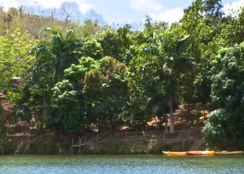 Jungle Eco Tour Excursion