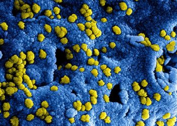 UN health agency urges China to continue search for source of new virus, as Thailand case emerges