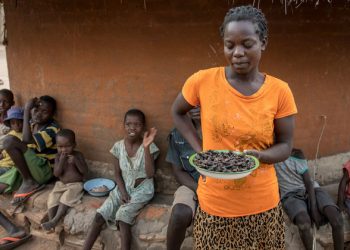 Climate crisis ‘affecting quality of life and fuelling discontent’