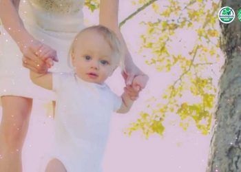 Bambo Nature – Eco baby diapers