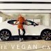 THE ECO VEGAN CAR !