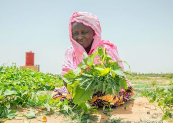 New UN finance panel to push Global Goals forward