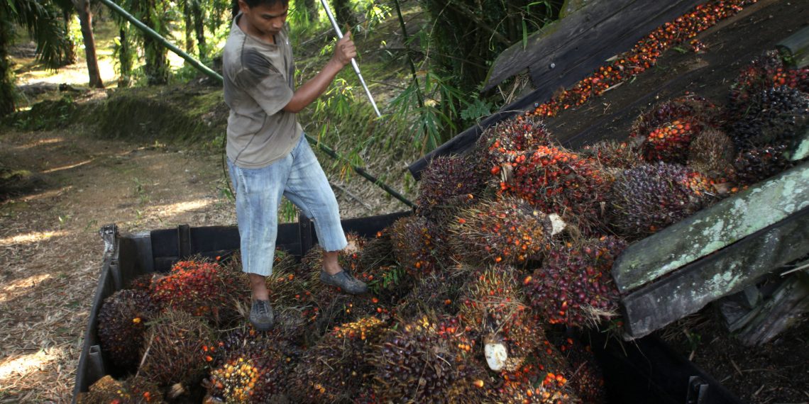 PODCAST: Certifying Sustainable Palm Oil with Andika Putraditama