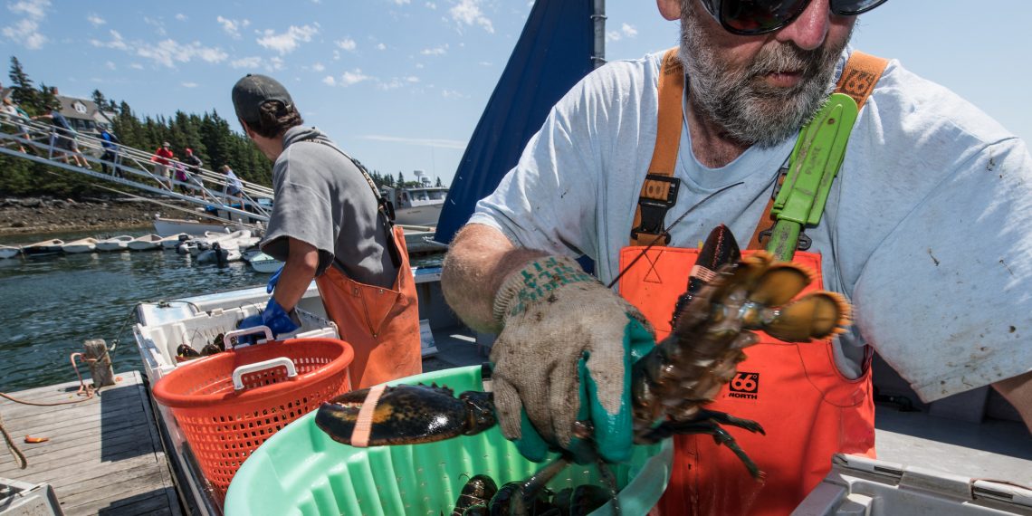 This Month in Climate Science, December 2019: Pre-term Births, Fewer Fishermen and Accelerated Arctic Melt