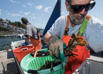 This Month in Climate Science, December 2019: Pre-term Births, Fewer Fishermen and Accelerated Arctic Melt