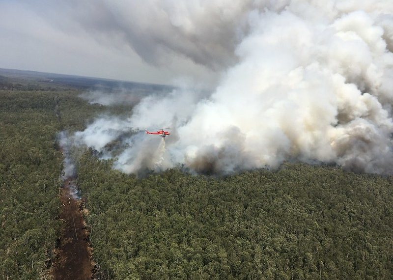4 Things to Know About Australia’s Wildfires and Their Impacts on Forests