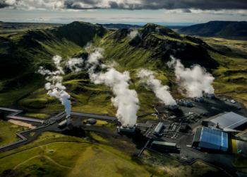 2020 Could Be the Year Carbon Removal Takes Off