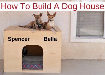 How To Build A Large Dog House That's Warm & Insulated