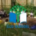 What is Eco-Schools?