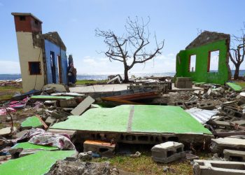 Climate action ‘both a priority and a driver of the decade’: Guterres