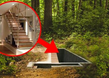 Most Unbelievable Underground Homes That Actually Exist!