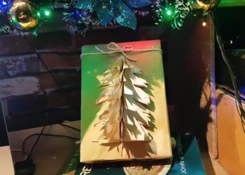 Gift Wrapping Eco Friendly Alternative