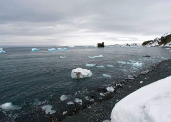 Climate crisis: Antarctic continent posts record temperature reading of 18.3°C
