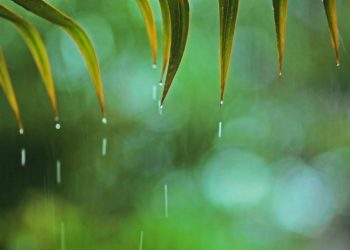 Relaxing Music & Rain Sounds – Beautiful Piano Music, Background Music, Sleep Music