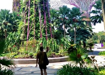 Saving Our Earth | A Trip Across the World