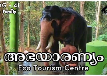 Abhayaranyam | Kodanad | Kapprikkad | Eco Tourism |Trip Family | Vlog – 41