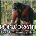 Abhayaranyam | Kodanad | Kapprikkad | Eco Tourism |Trip Family | Vlog – 41
