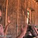 How to build a straw bale wall