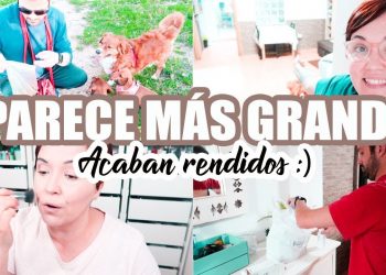 AHORA EL SALÓN PARECE MÁS GRANDE Y TIENE ECO + ACABAN RENDIDOS + TÉ ROSA Vlog