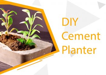 DIY Cement Planter (New Ways)