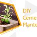 DIY Cement Planter (New Ways)
