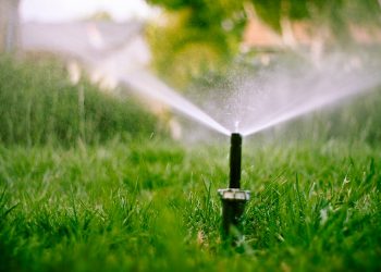 Domestic Water Use Grew 600% Over the Past 50 Years