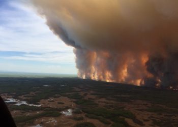 Intense Boreal Forest Fires a Climate Concern