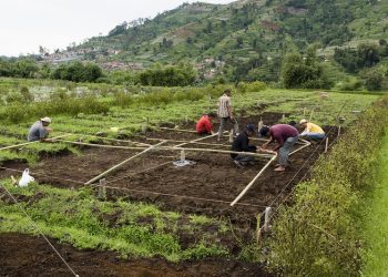 The Causes and Effects of Soil Erosion, and How to Prevent It