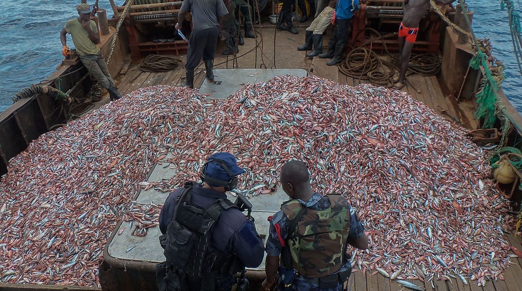 Fast-tracking Law-abiding Ships at Ports Could Help End Illegal Fishing