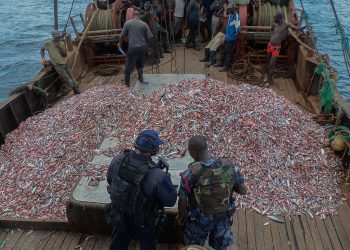 Fast-tracking Law-abiding Ships at Ports Could Help End Illegal Fishing