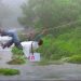 FROM THE FIELD: Going the extra mile with vaccines