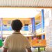 Climate change: educating students to fight the crisis