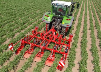Mechanical weed control | GRIMME GH 4 Eco