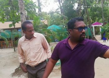 Eco Friendly Beach Wooden Cottages