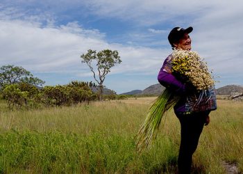 Brazilian mountain farmers reap recognition, through UN heritage listing