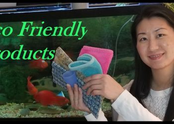 14 sustainable products for your household