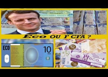 Tout Savoir Sur L'ECO La MONNAIE UNIQUE de la CEDEAO