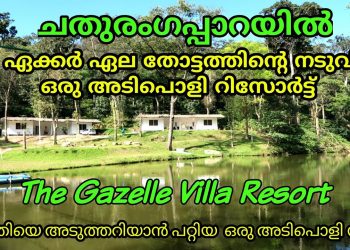 Gazelle Villa Resort Chathurangappara | Nature Friendly Resort | Travel With Aalok | Vlog – 52 |