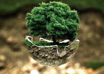 Top Green Features Home Buyers Want in 2020