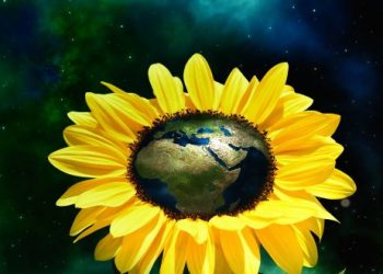 Eco-friendly brands that have taken a pledge to change the world