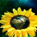 Eco-friendly brands that have taken a pledge to change the world